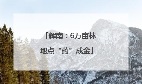 辉南：6万亩林地点“药”成金